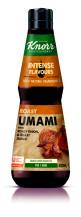Obrázek k výrobku 19856 - Umami esence 400ml Knorr